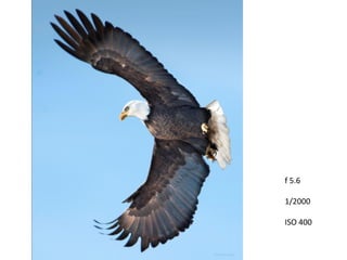 f 5.6
1/2000
ISO 400
 