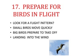 17. PREPARE FOR
BIRDS IN FLIGHT
• LOOK FOR A FLIGHT PATTERN?
• SMALL BIRDS MOVE QUICKLY
• BIG BIRDS PREPARE TO TAKE OFF
• LANDING INTO THE WIND
 