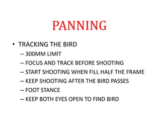 PANNING
• TRACKING THE BIRD
– 300MM LIMIT
– FOCUS AND TRACK BEFORE SHOOTING
– START SHOOTING WHEN FILL HALF THE FRAME
– KEEP SHOOTING AFTER THE BIRD PASSES
– FOOT STANCE
– KEEP BOTH EYES OPEN TO FIND BIRD
 