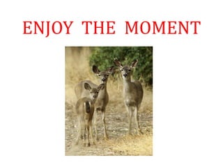 ENJOY THE MOMENT
 
