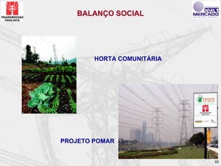 BALANÇO SOCIAL




        HORTA COMUNITÁRIA




PROJETO POMAR


                            55
 