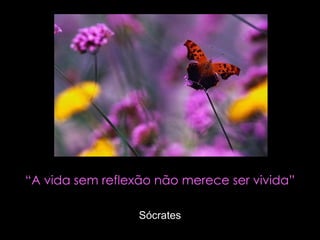 “ A vida sem reflexão não merece ser vivida” Sócrates 