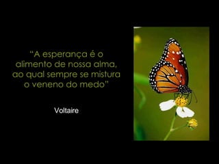 “ A esperança é o alimento de nossa alma, ao qual sempre se mistura o veneno do medo” Voltaire 