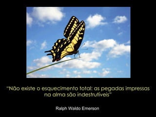 “ Não existe o esquecimento total: as pegadas impressas na alma são indestrutíveis” Ralph Waldo Emerson   