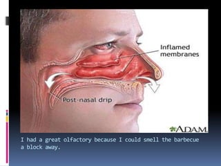 I had a great olfactory because I could smell the barbecue a block away.