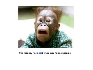 The monkey has angst whenever he sees people.