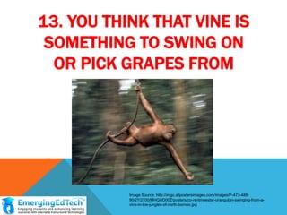 13. YOU THINK THAT VINE IS
SOMETHING TO SWING ON
OR PICK GRAPES FROM

Image Source: http://imgc.allpostersimages.com/images/P-473-48890/27/2700/MHQUD00Z/posters/co-rentmeester-orangutan-swinging-from-avine-in-the-jungles-of-north-borneo.jpg

 