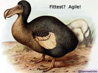 Fittest? Agile! 
@OptimiseOrDie 
 