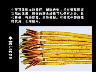 牛
蒡
Lappa牛蒡可促进血液循环、新陈代谢，并有调整肠道
功能的效果，所含的膳食纤维可以保有水分、软
化粪便，有助排毒、消除便秘。可做成牛蒡茶随
时饮用，长期服用。
 