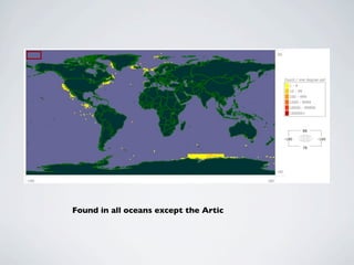 Found in all oceans except the Artic
 