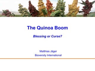The Quinoa Boom
  Blessing or Curse?



       Matthias Jäger
   Bioversity International
 