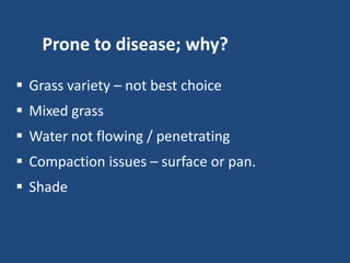 Prone to disease; why?
 Grass variety – not best choice
 Mixed grass

 Water not flowing / penetrating
 Compaction issues – surface or pan.

 Shade

 