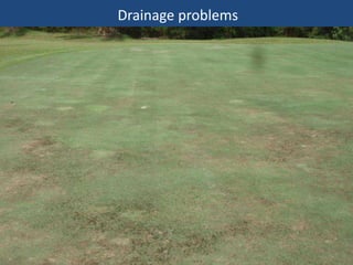 Drainage problems

 