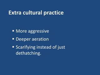 Extra cultural practice
 More aggressive

 Deeper aeration
 Scarifying instead of just
dethatching.

 