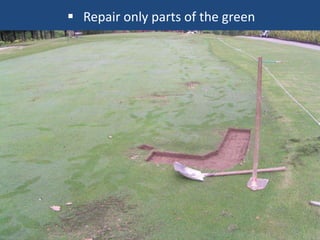  Repair only parts of the green

 