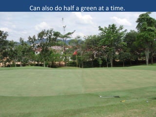 Can also do half a green at a time.

 