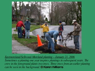 Eastmoreland/Sellwood-Moreland planting – January 21, 2006 Sometimes a planting one year inspires plantings in subsequent years. The crew in the foreground plants two trees. Three trees from an earlier planting can be seen in the background.   - Karen Williams 