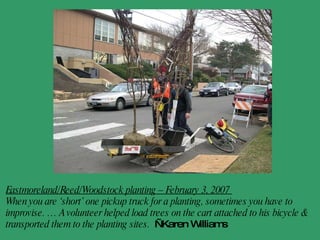 Eastmoreland/Reed/Woodstock planting – February 3, 2007  When you are ‘short’ one pickup truck for a planting, sometimes you have to improvise. … A volunteer helped load trees on the cart attached to his bicycle & transported them to the planting sites.  - Karen Williams 
