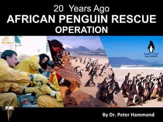 20 Years Ago
AFRICAN PENGUIN RESCUE
OPERATION
By Dr. Peter Hammond
 