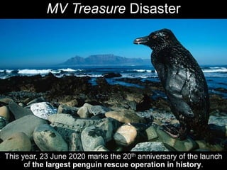 MV Treasure Disaster
This year, 23 June 2020 marks the 20th anniversary of the launch
of the largest penguin rescue operation in history.
 