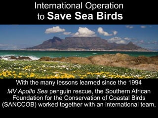 International Operation
to Save Sea Birds
With the many lessons learned since the 1994
MV Apollo Sea penguin rescue, the Southern African
Foundation for the Conservation of Coastal Birds
(SANCCOB) worked together with an international team,
 