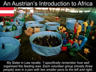 An Austrian’s Introduction to Africa
My Sister in Law recalls: “I specifically remember how well
organised the feeding was. Each volunteer group (mostly three
people) was in a pen with two smaller pens to the left and right.
 