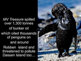 MV Treasure spilled
over 1,300 tonnes
of bunker oil
which oiled thousands
of penguins on
and around
Robben island and
threatened to pollute
Dassen Island too…
 