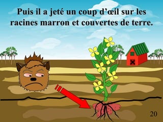 Puis il a jeté un coup d’œil sur les
racines marron et couvertes de terre.




                                     20
 