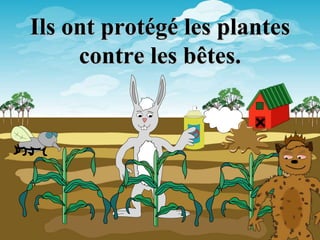 Ils ont protégé les plantes
     contre les bêtes.
 