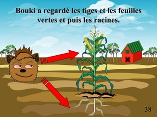 Bouki a regardé les tiges et les feuilles
      vertes et puis les racines.




                                            38
 