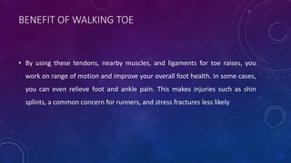 BENEFIT OF WALKING TOE
• By using these tendons, nearby muscles, and ligaments for toe raises, you
work on range of motion and improve your overall foot health. In some cases,
you can even relieve foot and ankle pain. This makes injuries such as shin
splints, a common concern for runners, and stress fractures less likely
 