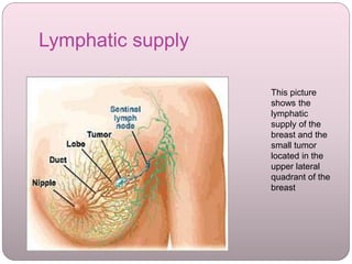 Lymphatic supply
This picture
shows the
lymphatic
supply of the
breast and the
small tumor
located in the
upper lateral
quadrant of the
breast
 