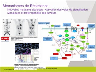 GUSTAVE ROUSSY
Médecine personnalisée des cancers de l’enfant
GUSTAVE ROUSSY
Mécanismes de Résistance
Nouvelles mutations acquises - Activation des voies de signalisation –
Mosaïques et Hétérogénéité des tumeurs
Anti-IGFR1 MoAb
 