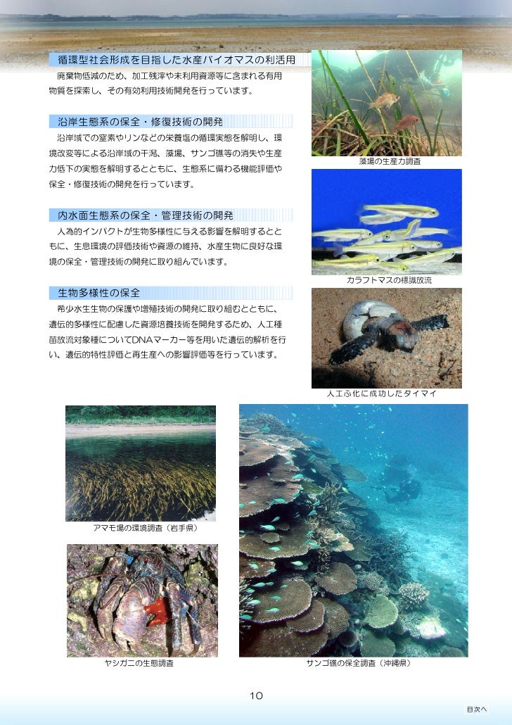 水産総合研究センター 平成21年環境報告書 水産総合研究センター 平成21年環境報告書
