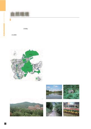 HIROSHIMA UNIVERSITY Environmental Report 2009




                                                  自然環境
                                                   キャンパスの自然環境の保全

                                                  東広島キャンパスの環境管理                 「自然区」
                                                   東広島キャンパスは250ha以上の広大な敷地の中に，     保安林でもある「ががら山」などは，貴重な植物群
                                                  山林，ため池，渓流など多様な環境を含んでおり，そ       落が存在し，野生動物の生息も確認されています。松
                                                  こには多様な動植物が生息しています。その一方で，       枯れの伐採などによる自然林の維持管理がなされてい
                                                  約14,000人の学生・教職員がキャンパスライフを送っ    る以外は，自然の遷移にまかせた状態で管理されてい
                                                  ています。大学に必要なさまざまな機能，利便性を確       ます。
                                                  保しながら，豊かな自然と共生していくため，広島大      「管理区」
                                                  学では，利用目的と環境特性に応じた環境管理を行っ        教育・研究活動の中心となっている建物の周辺は，
                                                  ています。                          人工植栽地であり，植栽の管理や芝の手入れ，また害
                                                                                 虫駆除などの管理が，年間を通じて定期的に行われて
                                                                                 います。
                                                                                「半自然区」
                                                                                  これらの，
                                                                                      「自然区」と｢管理区｣の間には「半自然区」
                                                                                 というバッファゾーンが設けられています。これは広
                                                                                 島大学が移転する前の豊かな自然空間をキャンパスの
                                                                                中にできるだけ取りいれるために設定したものです。
                                                                                キャンパス内を流れる渓流やため池周辺の湿地・草地
                                                                                や松林などが「半自然区」にあたり，季節に応じた里
                                                                                山的管理がなされています。東広島キャンパスがある
                                                                                西条盆地は，里山とため池を中心とした環境に多くの
                                                                                貴重な動植物が生息しています。このキャンパス内に
                                                                                残された豊かな自然環境は，環境問題や教育・研究の
                                                                                場を身近に提供してくれるものです。




                                                           東広島キャンパスゾーニング




                                                   その一つにゾーニング管理があります。これはキャ
                                                  ンパス内を「自然区」
                                                           「半自然区」「管理区」の３つのゾ
                                                  ーンに区分し，それぞれに応じた管理を行うものです。


                                                                                     山中池         野生のたぬき




                                                                 ががら山             学生宿舎への小径      キャンパスの花壇



                                       21        自然環境／キャンパスの自然環境の保全
 