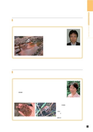 HIROSHIMA UNIVERSITY Environmental Report 2009
角脇川の底の赤褐色の沈殿は何？



 工学部と総合科学部の間を流れる角脇川の川底が赤褐色の沈殿で覆われている
ことに気づいている方も多いのではないでしょうか。そして汚れた川だと感じて
いる人が多いのではないでしょうか。これは実は川の水が汚れているからではな
                      く，川の側壁から染み出してい
                      る地下水中の鉄が沈殿したもの
                      なのです。地下水中では酸素が
                       ほとんどなく，鉄はイオンとし
                       て溶けています。この鉄を含ん
                       だ地下水が十分な酸素がある川    環境安全センター長
                                          西嶋 渉 教授
                       中に染み出てくると鉄バクテリ
                       アの働きで酸化され，赤褐色の水酸化鉄となって沈殿しま
                       す。角脇川の上流，生態実験園のあたりではホタルも生息
                       できる環境なのですよ。




生態実験園のニホンアカガエル



 理学部南側の生態実験園には多数のニホンアカガエルが生息しています。ニホ
ンアカガエルが生息するためには，冬でも水が涸れない湿地と，水辺に連続した
森林が必要です。広島大学の近隣では開発が進み，急速な勢いで自然が消失して
いますが，生態実験園はこれらの自然環境が残されている，ニホンアカガエルの
貴重な生息場所なのです。
 私は2008年の冬から，生態実験園でニホンアカガエルの卵塊数調査をしてい
ます。卵塊を数えることで雌の個体数を推定することができ，カエルの生態や環
境の変化を捉えることができるのです。
 卵塊を数えることで雌の個体数を推定することができ，カエルの生態や環境の     日本自然保護協会会員
                                           一井 直子
変化を捉えることができるのです。この調査は，環境省が全国的に展開する長期
                                生態観測プロジェクト「モニタリング
                                サイト1000」の，里地を対象とした
                                ものです。日本自然保護協会で調査地
                                の募集があり応募したところ，全国に
                                     181か所ある調査地（うち中国地方
                                     では7か所，広島県では２か所）のう
                                     ちの１つに選定されました。調査は
  ニホンアカガエルの卵塊       ニホンアカガエル         2013年まで継続する予定です。




                               自然環境／角脇川の底の赤褐色の沈殿は何？／生態実験園のニホンアカガエル   24
 