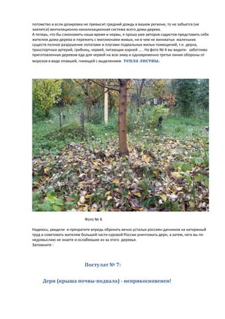 потомство и если дозировка не превысит средний дождь в вашем регионе, то не забьется (не
заилится) вентиляционно-канализационная система всего дома-дерева.
А теперь, что бы сэкономить наши время и нервы, я прошу уже авторов-садистов представить себя
жителем дома-дерева и пережить с миллионами живых, ни в чем не виноватых маленьких
существ полное разрушение лопатами и плугами подвальных жилых помещений, т.е. дерна,
транспортных артерий, грибниц, червей, питающих корней … . На фото № 4 вы видите- заботливо
приготовленная деревом еда для червей на всю зиму и одновременно третья линия обороны от
морозов в виде опавшей, гниющей с выделением тепла листвы.
Фото № 4.
Надеюсь, увидели и прекратите впредь обрекать вечно усталых россиян-дачников на каторжный
труд и советовать жителям большей части суровой России уничтожать дерн, а затем, чего вы по
недомыслию не знаете и ослабевшие из за этого деревья.
Запомните :
Постулат № 7:
Дерн (крыша почвы-подвала) - неприкосновенен!
 