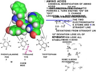SOME H-BOND PROPERTIES:
-O-H O=C-
AROMATIC AMINO ACIDSAROMATIC AMINO ACIDS
PHE TYR TRP
F Y
W
PHENYLALANINE TYROSINE TRYPTOPHAN
OH
H
CHEMICAL MODIFICATION OF AMINO
ACIDS SEE WIKI
"POSTTRANSLATIONAL MODIFICATION"
SOME H-BOND
ACCEPTORS
SOME H-BOND
DONORS
DEVIATIONS FROM STRAIGHT LINE
10o
DEVIATION LOSE 6% OF
STABILITY40o
DEVIATION LOSE ALL
STABILITY
2.8 - 3.2
A
o
THE TWO
ELECTRONEGATIV
E ATOMS AND H IN
STRAIGHT LINE
1. GIVE PROTEIN NEW CATALYTIC
POWERS 2. TURN ENZYME "ON" OR
"OFF" 3. CHANGE
LOCATION, e.g. BIND MEMBRANE
CHEM
MOD
 