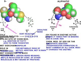 S-
CONTAINING
CH2S-
NUCLEOPHILEOXIDIZE TWO CYS-
SHCYS-SH SITE OF CHEM MOD.
MET SIDECHAIN:
ROLE IN
BIOSYN:
MET CONNECTED TO MUCH
METABOLISM
-OH FOUND IN ENZYME ACTIVE
SITE:
CHEM. MOD. OF SER OR THR
OH:
ALIPHATIC
-OH
DISULFIDE
BOND
e.g. ADDITION OF FATTY
ACID TO FORM THIOESTER
CYS-S-S-CYS
VERY REACTIVE!
NONPOLAR
FOR METABOLIC RXNS OF
METHYL ADDITION, MET IS MAIN
DONOR
THEREFORE:
"CONNECTED"A JARGON WORD MEANING:
[MET] IS REGULATED BY CONC. OF OTHER
MOLECULES & MET BOUND BY PROTEINS
WHERE IT TAKES PART IN BINDING
AND IN CHEM. RXN
PHOSPHATE ADDITION
(PHOSPHOESTER FORMATION) IS
MOST COMMON OF ALL CHEM. MOD!
IT CHANGES THE ENZYME!
CYS MET
C M
CYSTEINE
METHIONINE
SERINE THREONINE
SER THR
S T
 