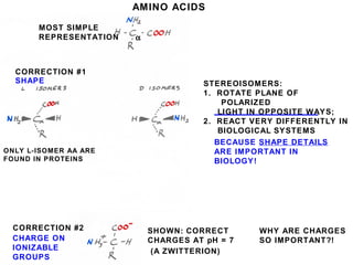AMINO ACIDS
MOST SIMPLE
REPRESENTATION
CORRECTION #1
STEREOISOMERS:
1. ROTATE PLANE OF
POLARIZED
LIGHT IN OPPOSITE WAYS;
2. REACT VERY DIFFERENTLY IN
BIOLOGICAL SYSTEMS
CORRECTION #2
α
SHOWN: CORRECT
CHARGES AT pH = 7
(A ZWITTERION)
ONLY L-ISOMER AA ARE
FOUND IN PROTEINS
BECAUSE SHAPE DETAILS
ARE IMPORTANT IN
BIOLOGY!
SHAPE
CHARGE ON
IONIZABLE
GROUPS
WHY ARE CHARGES
SO IMPORTANT?!
 