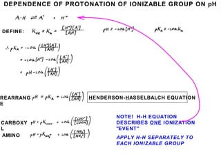 DEPENDENCE OF PROTONATION OF IONIZABLE GROUP ON pH
DEFINE:
REARRANG
E
HENDERSON-HASSELBALCH EQUATION
CARBOXY
L
AMINO
NOTE! H-H EQUATION
DESCRIBES ONE IONIZATION
"EVENT"
APPLY H-H SEPARATELY TO
EACH IONIZABLE GROUP
 