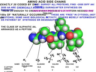 AMINO ACID SIDE CHAINS
EXACTLY 20 CODED BY DNABUT: SURVEY ALL PROTEINS, FIND ~2000 DIFF AA!
THESE2000 AA ARE CHEMICALLY MODIFIED DURING/AFTER SYNTHESIS ON
RIBOSOME
NAME
3-LETTER
ABBREV.
G A V L
GLY ALA VAL LEU ILE
THE CLASS OF ALIPHATIC AA,
ARRANGED AS A PEPTIDE
GLYCINE ALANINE VALINE LEUCINE
ISOLEUCINE
THESE ARE “FREE” IN CYTOSOL (NOT
INPROTEINS); SOME HAVE BIOLOGICAL ACTIVITY, OTHERS MERELY INTERMEDIATE
ON PATHWAY OF SYNTHESIS OR DEGRADATION
100s OF “NATURALLY OCCURRING”
AA
THESE 20 ENOUGH TO CREATE EVERY POSSIBLE 3-D PATTERN NEEDED: THE
"FOLDS"
EVERY POSSIBLE 3-D PATTERN "FOLDS"
 