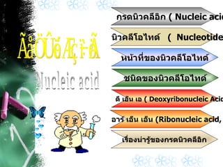 Nucleic acid กรดนิวคลีอิก  (  Nucleic acids  ) นิวคลีโอไทด์  (  Nucleotides  ) เรื่องน่ารู้ของกรดนิวคลีอิก ชนิดของนิวคลีโอไทด์ อาร์ เอ็น เอ็น  ( Ribonucleic acid, RNA ) ดี เอ็น เอ  (  Deoxyribonucleic Acid , DNA  ) หน้าที่ของนิวคลีโอไทด์ กรดนิวคลีอิก 