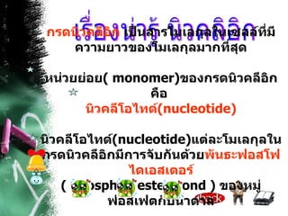 เรื่องน่ารู้ นิวคลิอิก กรดนิวคลีอิก  เป็นสารโมเลกุลในเซลล์ที่มีความยาวของโมเลกุลมากที่สุด หน่วยย่อย (  monomer ) ของกรดนิวคลีอิกคือ  นิวคลีโอไทด์ ( nucleotide ) นิวคลีโอไทด์ ( nucleotide ) แต่ละโมเลกุลในกรดนิวคลีอิกมีการจับกันด้วย พันธะฟอสโฟไดเอสเตอร์ (  phosphodiester bond  )  ของหมู่ฟอสเฟตกับน้ำตาล 