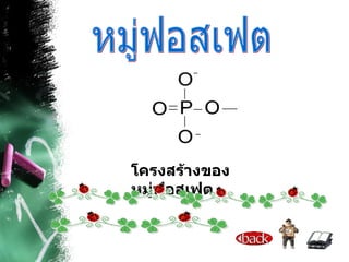 โครงสร้างของหมู่ฟอสเฟต หมู่ฟอสเฟต 