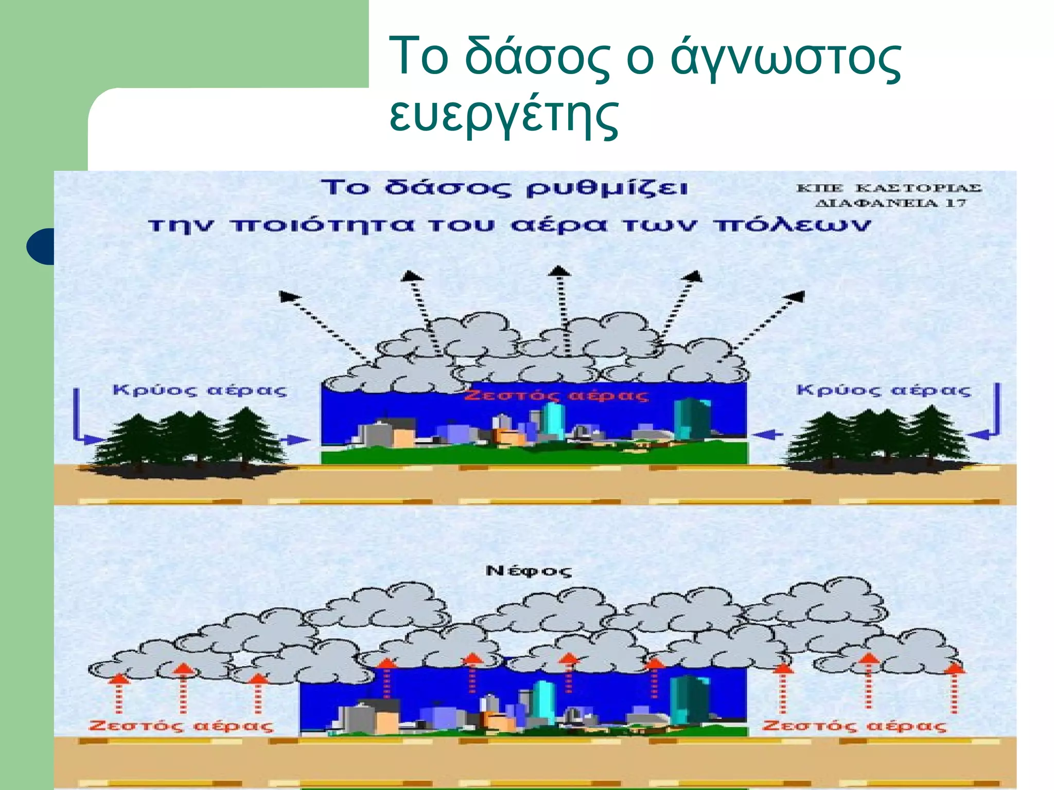 Το δάσος ο άγνωστος
ευεργέτης
 