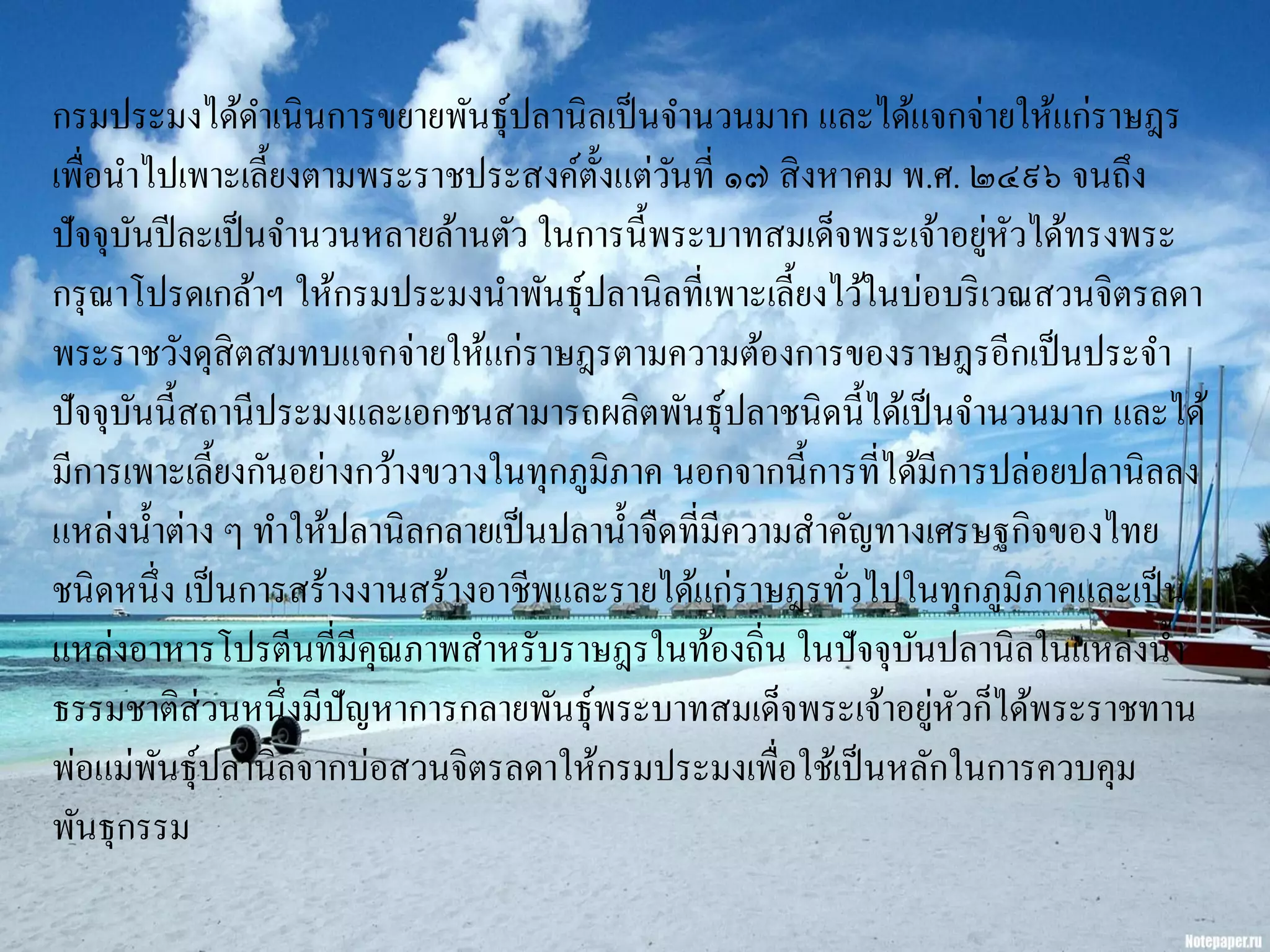 กรมประมงได้ดาเนินการขยายพันธุ์ปลานิลเป็ นจานวนมาก และได้แจกจ่ายให้แก่ราษฎร
เพื่อนาไปเพาะเลี้ยงตามพระราชประสงค์ต้ งแต่วนที่ ๑๗ สิ งหาคม พ.ศ. ๒๔๙๖ จนถึง
                                        ั ั
                                                                    ่ ั
ปั จจุบนปี ละเป็ นจานวนหลายล้านตัว ในการนี้พระบาทสมเด็จพระเจ้าอยูหวได้ทรงพระ
       ั
กรุ ณาโปรดเกล้าฯ ให้กรมประมงนาพันธุ์ปลานิลที่เพาะเลี้ยงไว้ในบ่อบริ เวณสวนจิตรลดา
พระราชวังดุสิตสมทบแจกจ่ายให้แก่ราษฎรตามความต้องการของราษฎรอีกเป็ นประจา
ปั จจุบนนี้สถานีประมงและเอกชนสามารถผลิตพันธุ์ปลาชนิดนี้ได้เป็ นจานวนมาก และได้
         ั
มีการเพาะเลี้ยงกันอย่างกว้างขวางในทุกภูมิภาค นอกจากนี้การที่ได้มีการปล่อยปลานิลลง
แหล่งน้ าต่าง ๆ ทาให้ปลานิลกลายเป็ นปลาน้ าจืดที่มีความสาคัญทางเศรษฐกิจของไทย
ชนิดหนึ่ง เป็ นการสร้างงานสร้างอาชีพและรายได้แก่ราษฎรทัวไปในทุกภูมิภาคและเป็ น
                                                          ่
แหล่งอาหารโปรตีนที่มีคุณภาพสาหรับราษฎรในท้องถิ่น ในปั จจุบนปลานิลในแหล่งน้ า
                                                              ั
ธรรมชาติส่วนหนึ่งมีปัญหาการกลายพันธุ์พระบาทสมเด็จพระเจ้าอยูหวก็ได้พระราชทาน
                                                                ่ ั
พ่อแม่พนธุ์ปลานิลจากบ่อสวนจิตรลดาให้กรมประมงเพื่อใช้เป็ นหลักในการควบคุม
           ั
พันธุกรรม
 