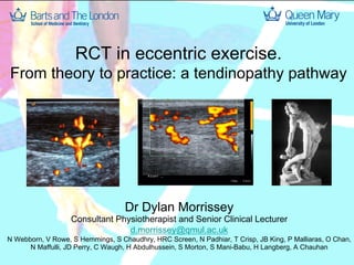 RCT in eccentric exercise.
From theory to practice: a tendinopathy pathway

Dr Dylan Morrissey
Consultant Physiotherapist and Senior Clinical Lecturer
d.morrissey@qmul.ac.uk
N Webborn, V Rowe, S Hemmings, S Chaudhry, HRC Screen, N Padhiar, T Crisp, JB King, P Malliaras, O Chan,
N Maffulli, JD Perry, C Waugh, H Abdulhussein, S Morton, S Mani-Babu, H Langberg, A Chauhan

 