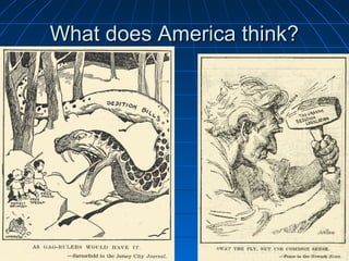 What does America think?

 