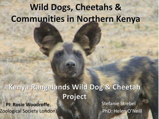 Wild Dogs, Cheetahs &
Communities in Northern Kenya
PI: Rosie Woodroffe
Zoological Society London) PhD: Helen O’Neill
Stefanie Strebel
 